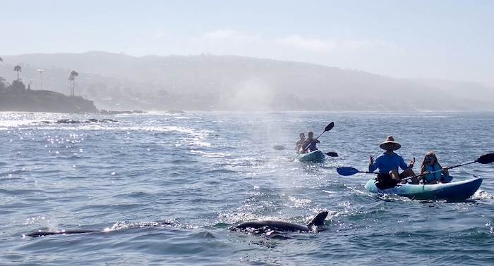 Laguna Ethos Kayak + Hiking Tours, Surf Lessons