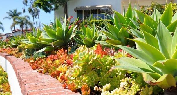 Laguna Beach Garden Club