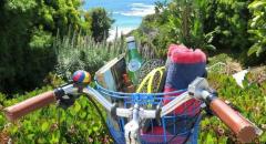 Laguna Beach Electric Bike Rental