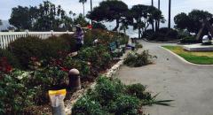 Laguna Beach Garden Club