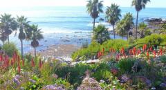 Heisler Park