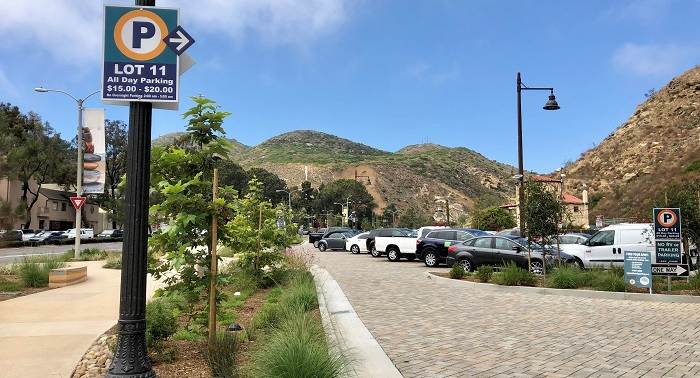 Lot 11 - Forest/Laguna Canyon Lot