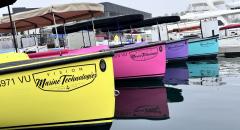 Vision Electric Boat Rental