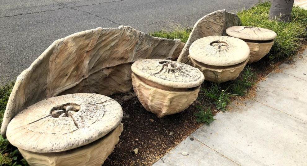 Eucalyptus Bench