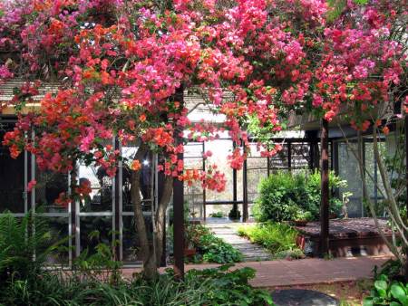 Hortense Miller Garden Open House