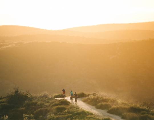 Mountain biking at sunset at Top of the World