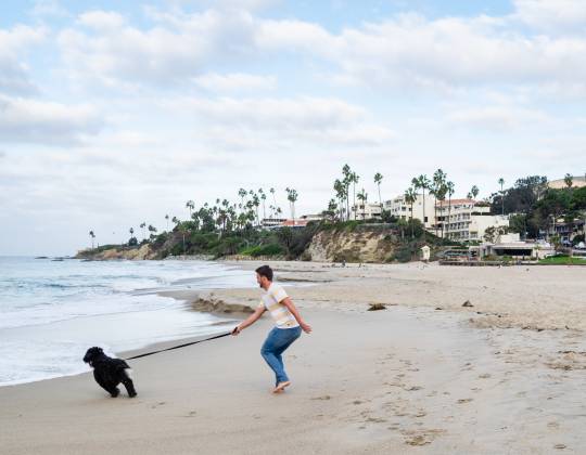 Dog & Pet Friendly Hotels in Laguna Beach California