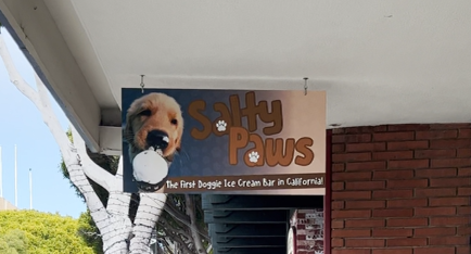 Salty Paws